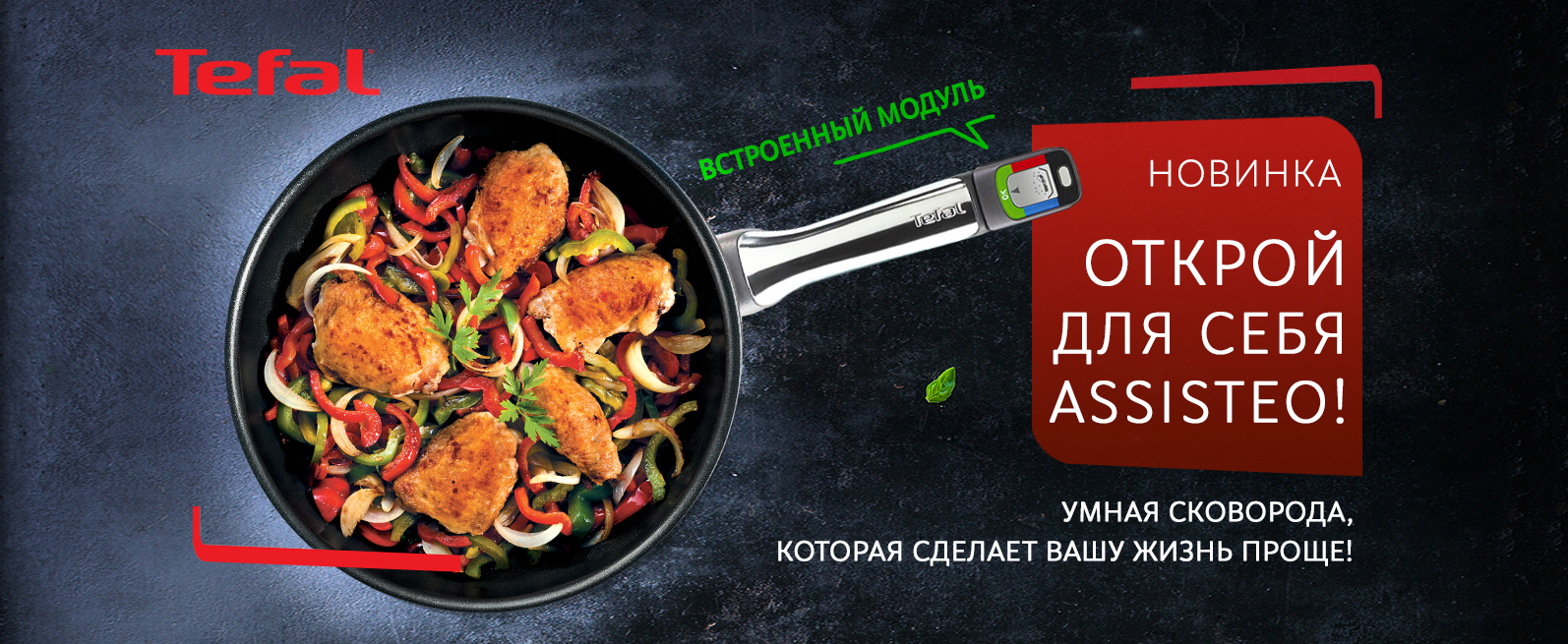 Tefal Assisteo — рекламный баннер